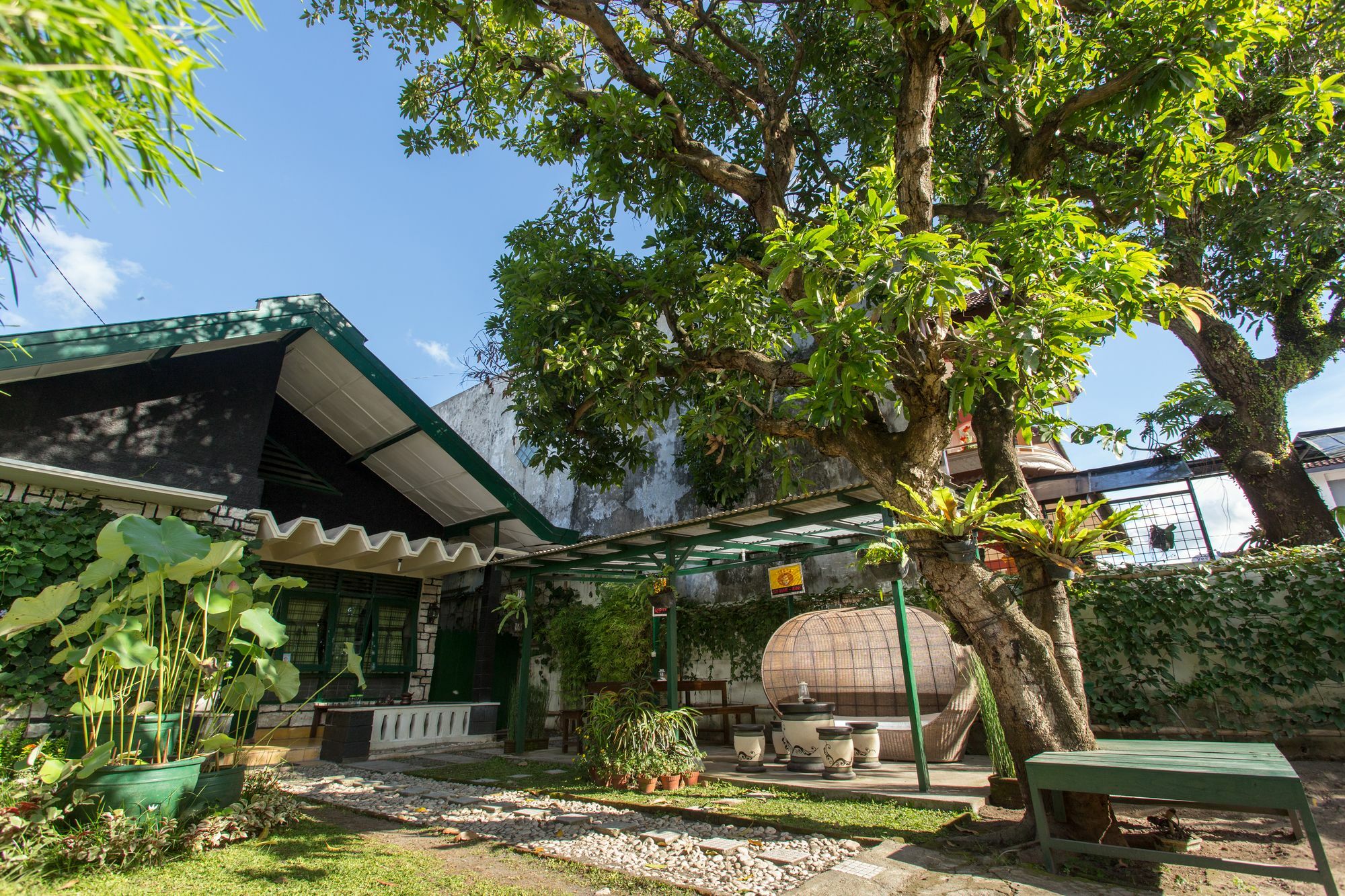 Mango Tree Dipudjo Wisma tamu